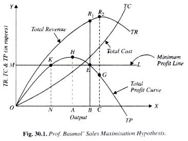 Explain the sales revenue maximization theory of firm